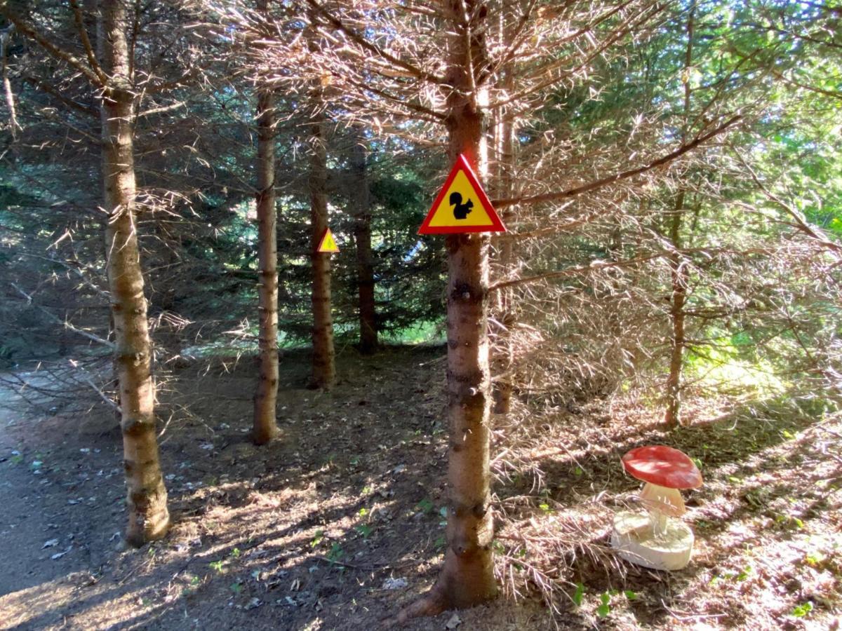 Chalupa U Potoka Josefův Důl u Jablonce nad Nisou Exterior foto
